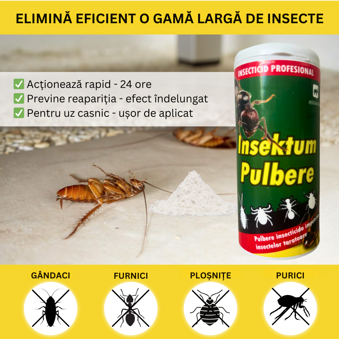 Insecticid Pulbere uz Profesional