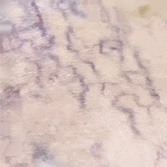 Alt Image
